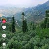 user1448488607311