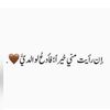 um.waleed57