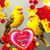 user6162461613068