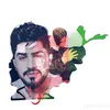 akzwak1
