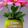 pascaline_g
