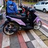 hams_ganss