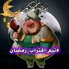 habiba.ahmad19