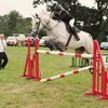 ellie.barnfather