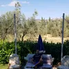 croitoruionut536