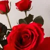 ayadamazon631