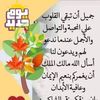 emanelshenawy805