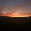 cutuflus565