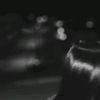 kll_xerally