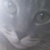 tejon_of_legends