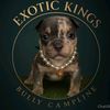 exotickings