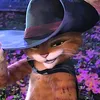 yusuf_z43