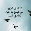 user7620310613727