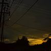 orang_borneo