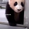 useroxs083nduw