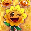 vallshine