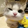tahn.v_07.12