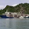 nguyen.tran9098