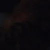 francesco_frioli