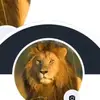 user32683476066536jak