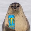 cyraxtheseal_