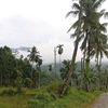 nasutionmargana04
