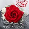 userhp9a894y40