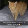 gaxder_