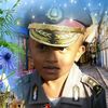 rull7193