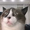 leska08_