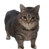 doankvcv4lf