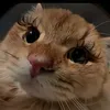 user46phr76knb