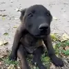 mhktephmaiq
