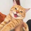 seayouuuuu