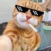 bknalexzz
