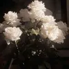 xinfpx24
