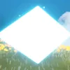 chao_buoi_trua