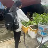 nh_ngoc.meo