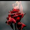 user1jgyffp7rk