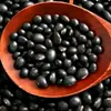 kedelai_hitam881231