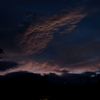 wil_267