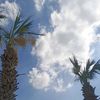 fatma.khamis11