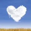 reginaferreira_67