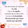 positiva2772944659801