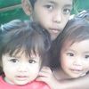 msbb_29