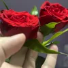 nupakachi865