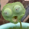 xinhngoanchuanguoiiu