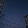 erick__.34