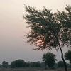 ayanjan2223