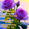 user8051919999617